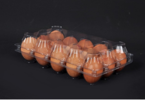 Yumurta Ambalajları